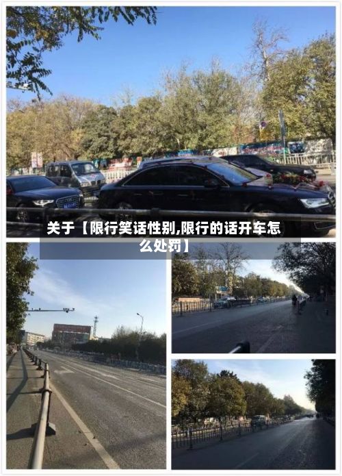关于【限行笑话性别,限行的话开车怎么处罚】