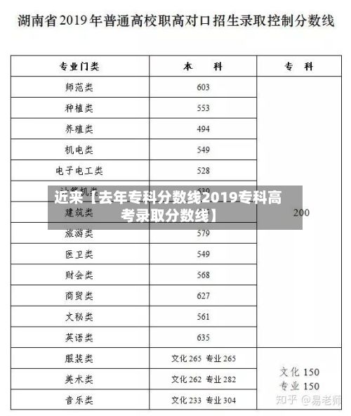 近来【去年专科分数线2019专科高考录取分数线】-第2张图片