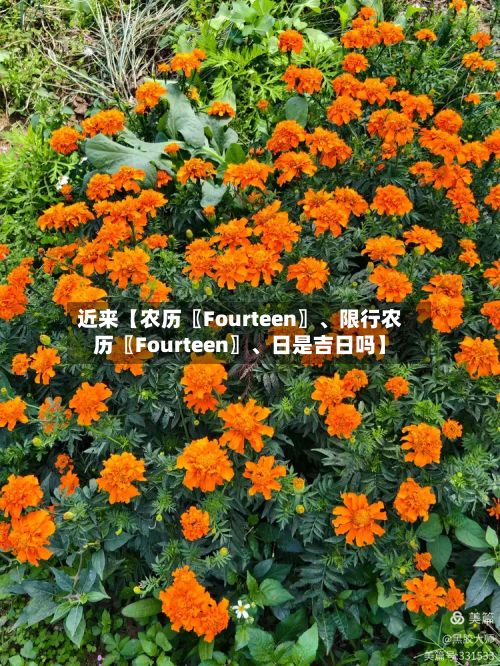 近来【农历〖Fourteen〗、限行农历〖Fourteen〗	、日是吉日吗】-第3张图片