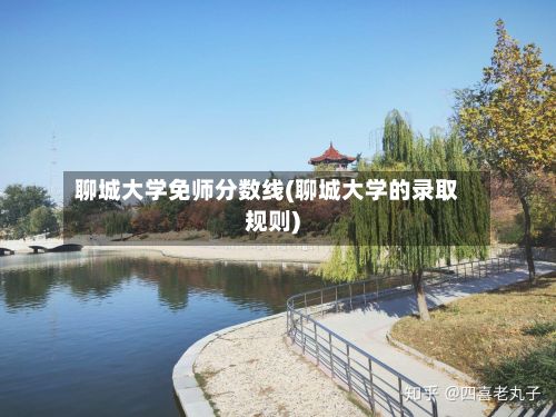聊城大学免师分数线(聊城大学的录取规则)