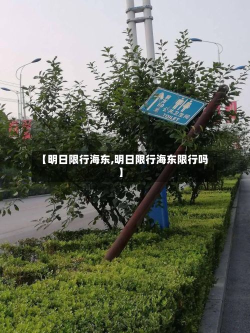 【明日限行海东,明日限行海东限行吗】