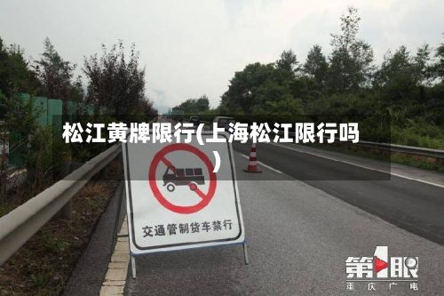 松江黄牌限行(上海松江限行吗)-第2张图片
