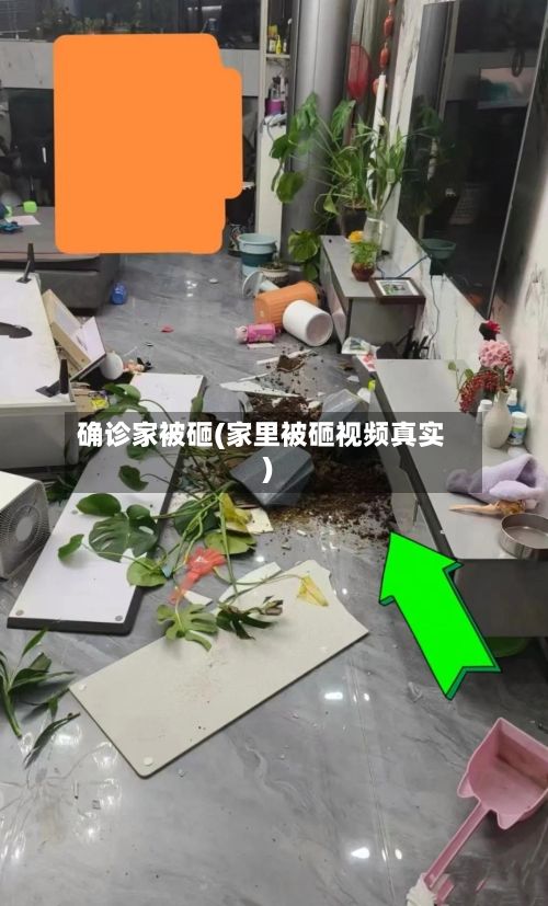 确诊家被砸(家里被砸视频真实)