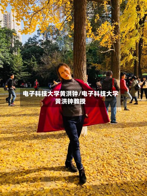 电子科技大学黄洪钟/电子科技大学黄洪钟教授-第3张图片