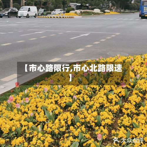 【市心路限行,市心北路限速】-第2张图片