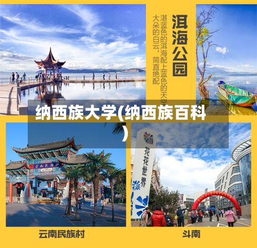纳西族大学(纳西族百科)-第2张图片