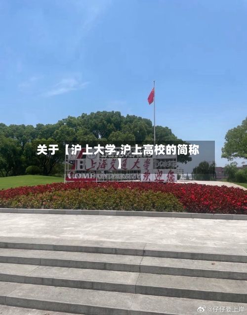 关于【沪上大学,沪上高校的简称】