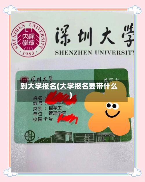 到大学报名(大学报名要带什么)-第2张图片