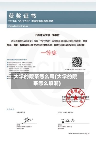 大学的院系怎么写(大学的院系怎么填啊)