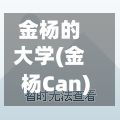 金杨的大学(金杨Can)-第3张图片