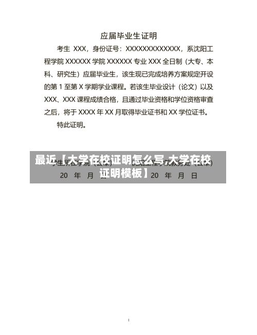 最近【大学在校证明怎么写,大学在校证明模板】-第3张图片