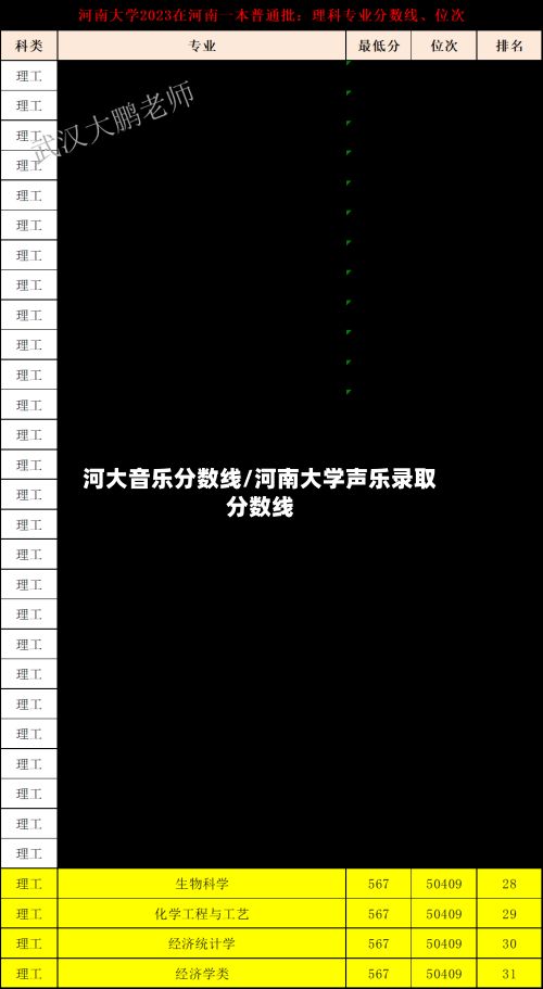 河大音乐分数线/河南大学声乐录取分数线-第2张图片