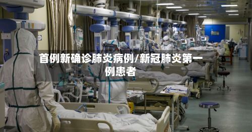 首例新确诊肺炎病例/新冠肺炎第一例患者