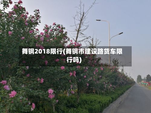 舞钢2018限行(舞钢市建设路货车限行吗)