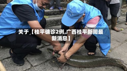 关于【桂平确诊2例,广西桂平新闻最新消息】-第3张图片
