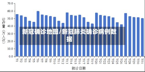 新冠确诊地图/新冠肺炎确诊病例数据
