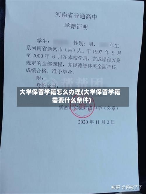 大学保留学籍怎么办理(大学保留学籍需要什么条件)-第3张图片
