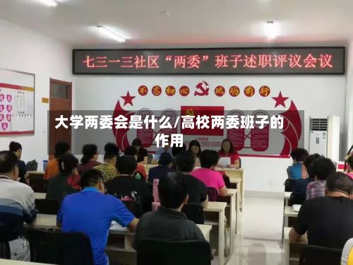 大学两委会是什么/高校两委班子的作用
