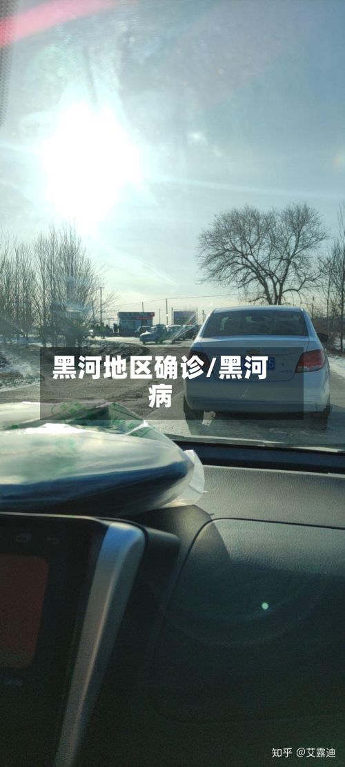 黑河地区确诊/黑河病