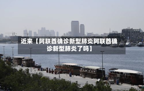 近来【阿联酋确诊新型肺炎阿联酋确诊新型肺炎了吗】