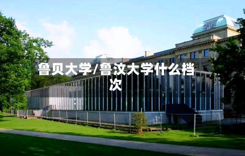 鲁贝大学/鲁汶大学什么档次-第2张图片