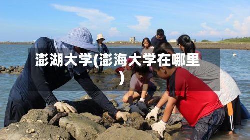 澎湖大学(澎海大学在哪里)