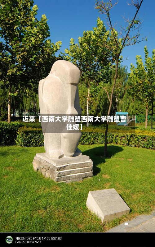 近来【西南大学雕塑西南大学雕塑曹佳媛】
