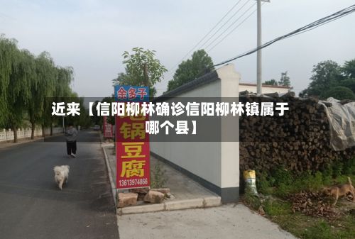 近来【信阳柳林确诊信阳柳林镇属于哪个县】-第3张图片