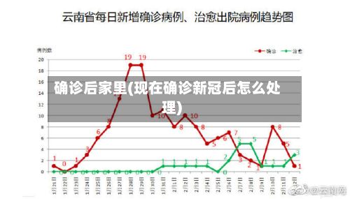 确诊后家里(现在确诊新冠后怎么处理)-第2张图片