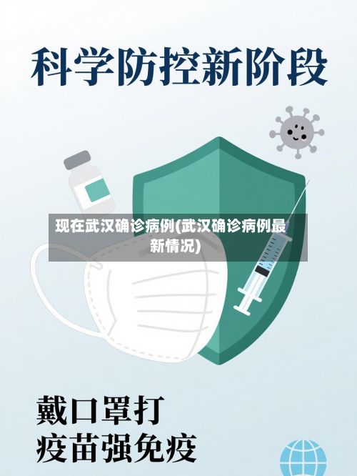 现在武汉确诊病例(武汉确诊病例最新情况)-第2张图片