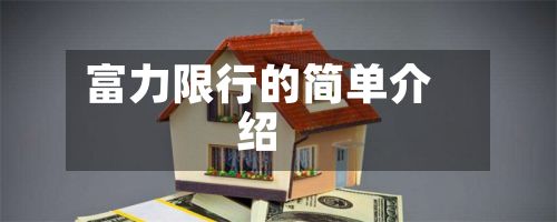 富力限行的简单介绍-第3张图片