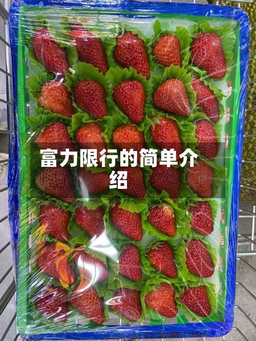 富力限行的简单介绍