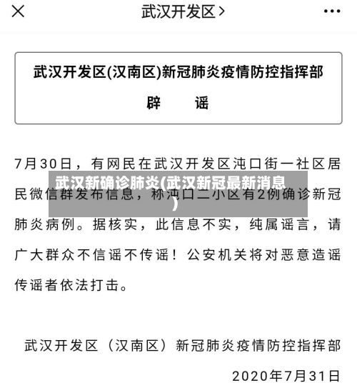 武汉新确诊肺炎(武汉新冠最新消息)-第2张图片