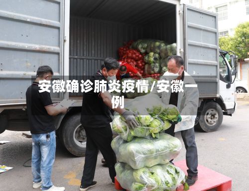 安徽确诊肺炎疫情/安徽一例