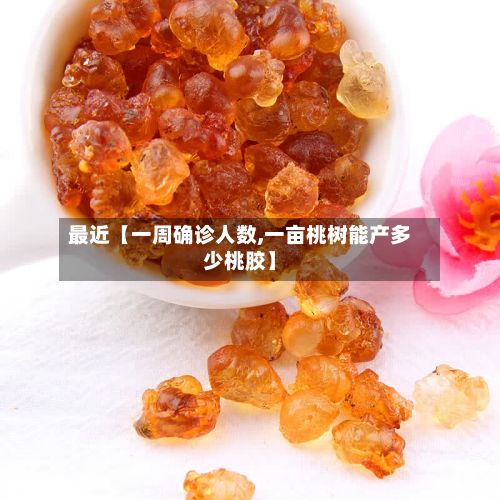 最近【一周确诊人数,一亩桃树能产多少桃胶】-第2张图片