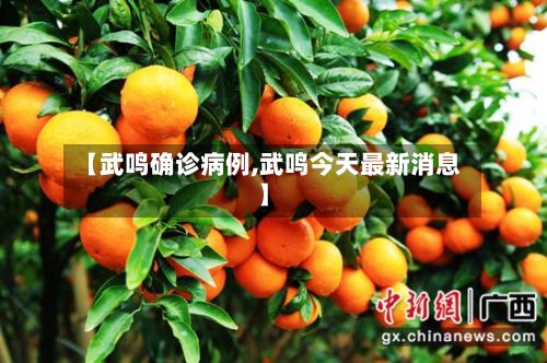 【武鸣确诊病例,武鸣今天最新消息】