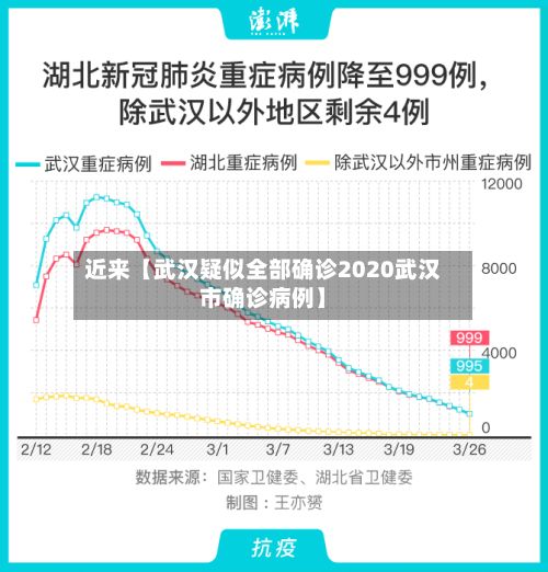 近来【武汉疑似全部确诊2020武汉市确诊病例】-第2张图片