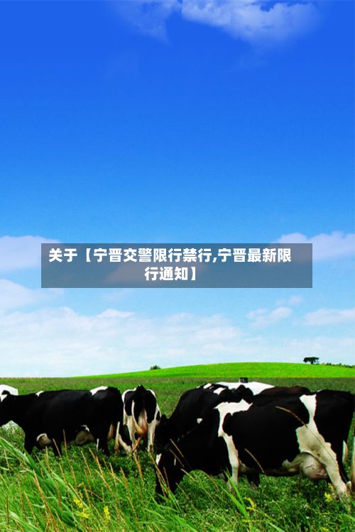 关于【宁晋交警限行禁行,宁晋最新限行通知】-第3张图片