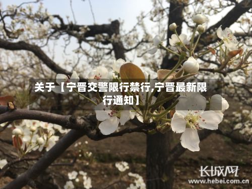 关于【宁晋交警限行禁行,宁晋最新限行通知】