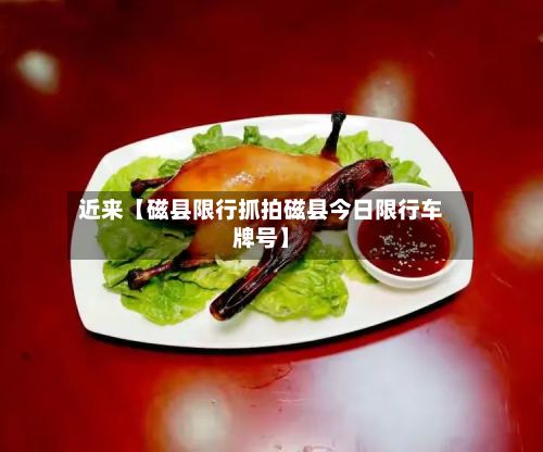 近来【磁县限行抓拍磁县今日限行车牌号】-第2张图片