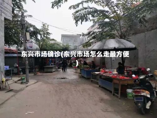 东兴市场确诊(东兴市场怎么走最方便)-第3张图片