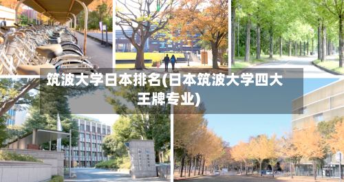 筑波大学日本排名(日本筑波大学四大王牌专业)-第2张图片