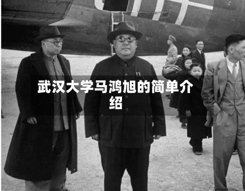 武汉大学马鸿旭的简单介绍-第3张图片