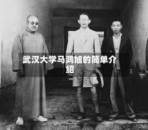 武汉大学马鸿旭的简单介绍-第2张图片