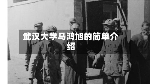 武汉大学马鸿旭的简单介绍