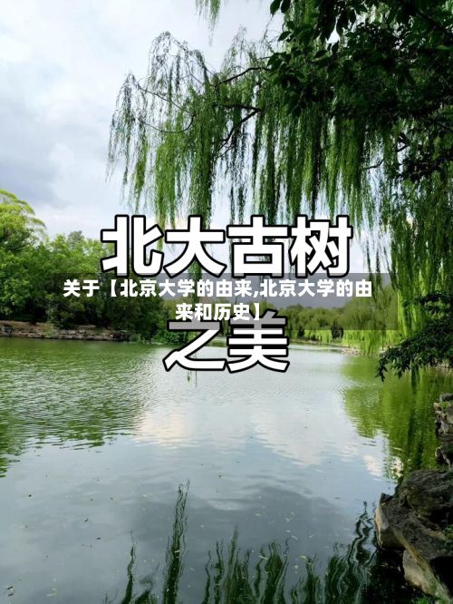 关于【北京大学的由来,北京大学的由来和历史】