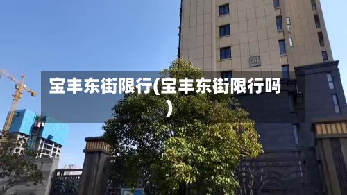 宝丰东街限行(宝丰东街限行吗)-第1张图片