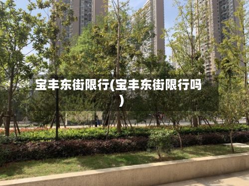 宝丰东街限行(宝丰东街限行吗)-第2张图片
