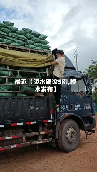 最近【陵水确诊5例,陵水发布】-第3张图片