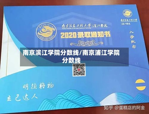 南京滨江学院分数线/南京浦江学院分数线-第3张图片